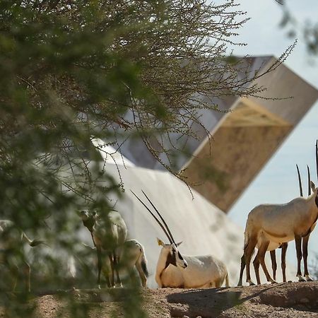 Green Mubazzarah Chalets Al Ain Exterior foto