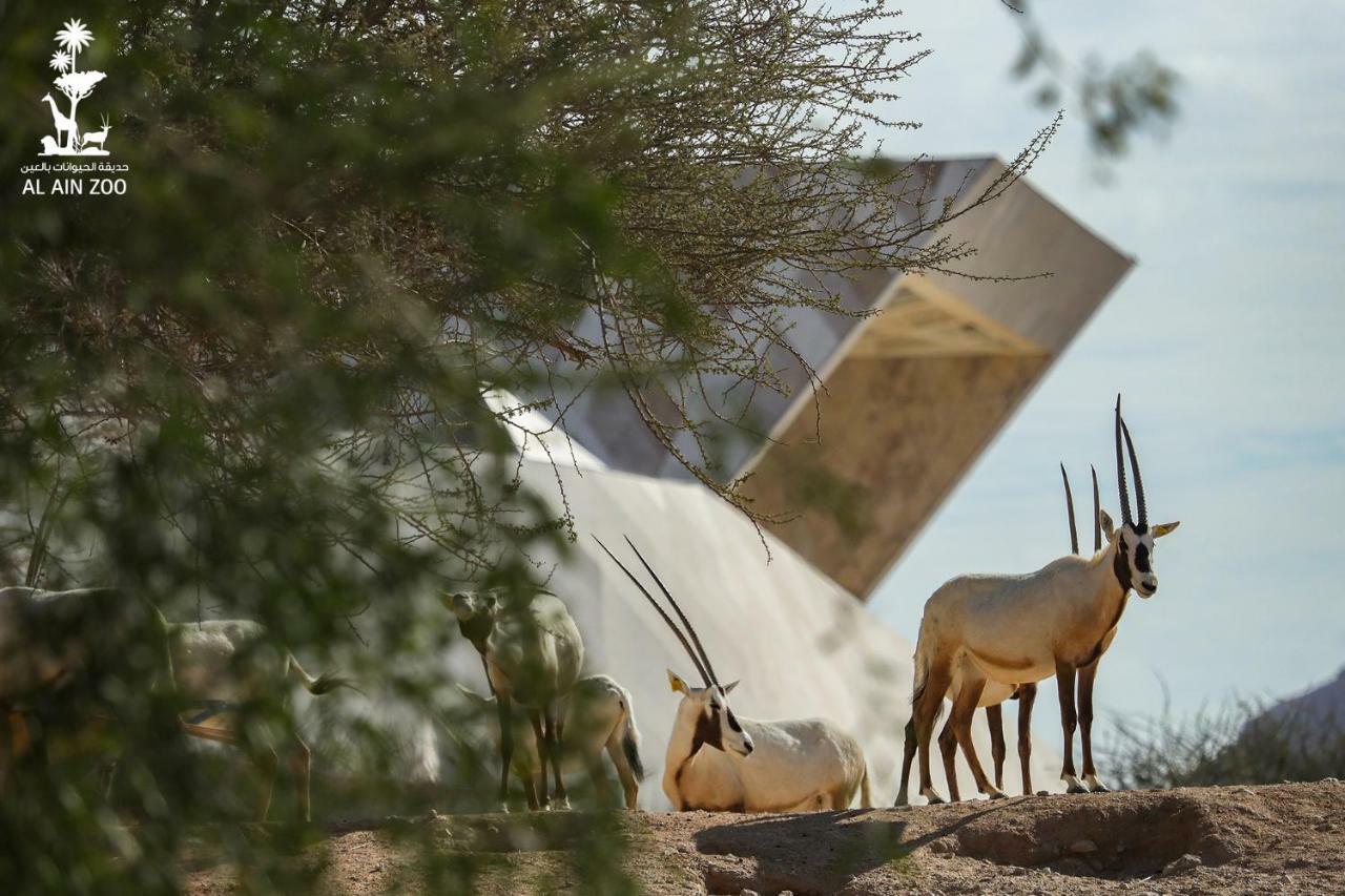 Green Mubazzarah Chalets Al Ain Exterior foto