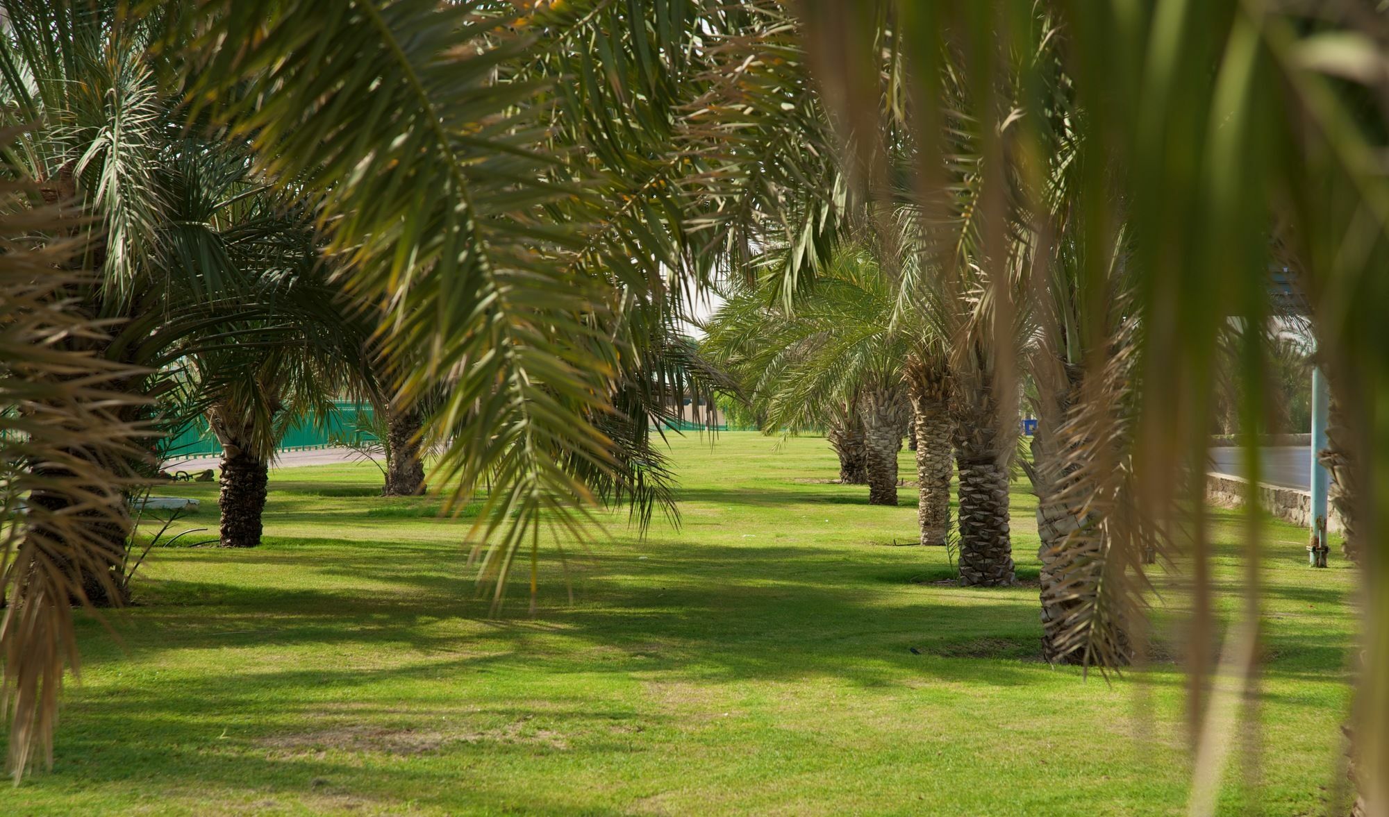 Green Mubazzarah Chalets Al Ain Exterior foto